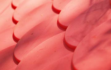 Brockley plastic roof costs