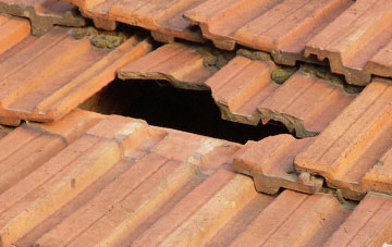 roof repair Brockley